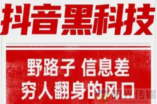24小时自助下单直播间怎样弄,app抖音网红黑科技,抖音流量推广赚钱是真的吗,下单软件,