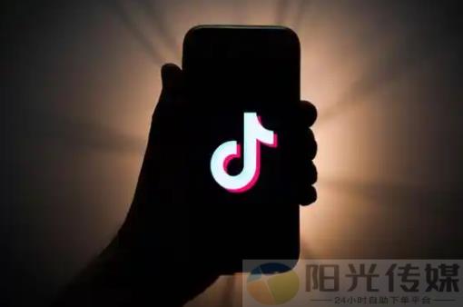 dy低价下单平台,加盟引流神器 黑科技下载,qq业务卡盟网站,自助